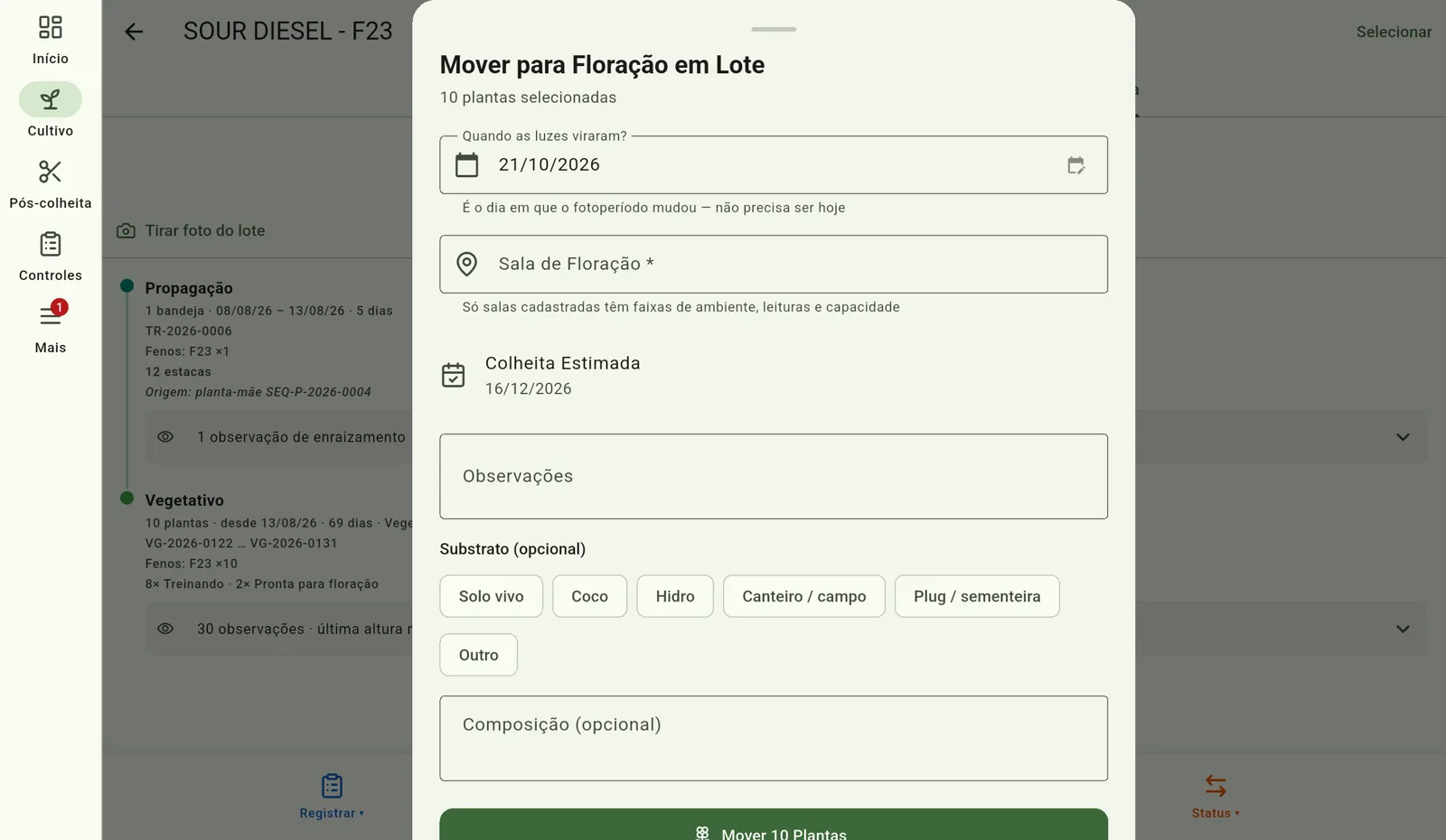 Tela do Cultivo — Confira e salve