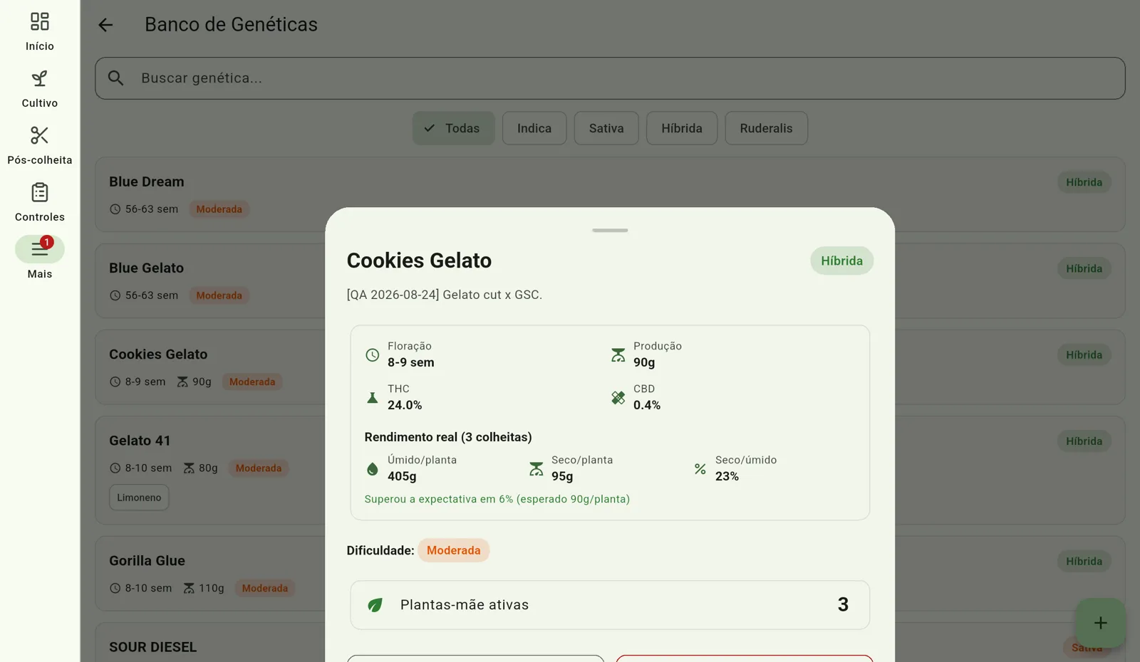 Tela do Cultivo — Renomeie em todos os registros