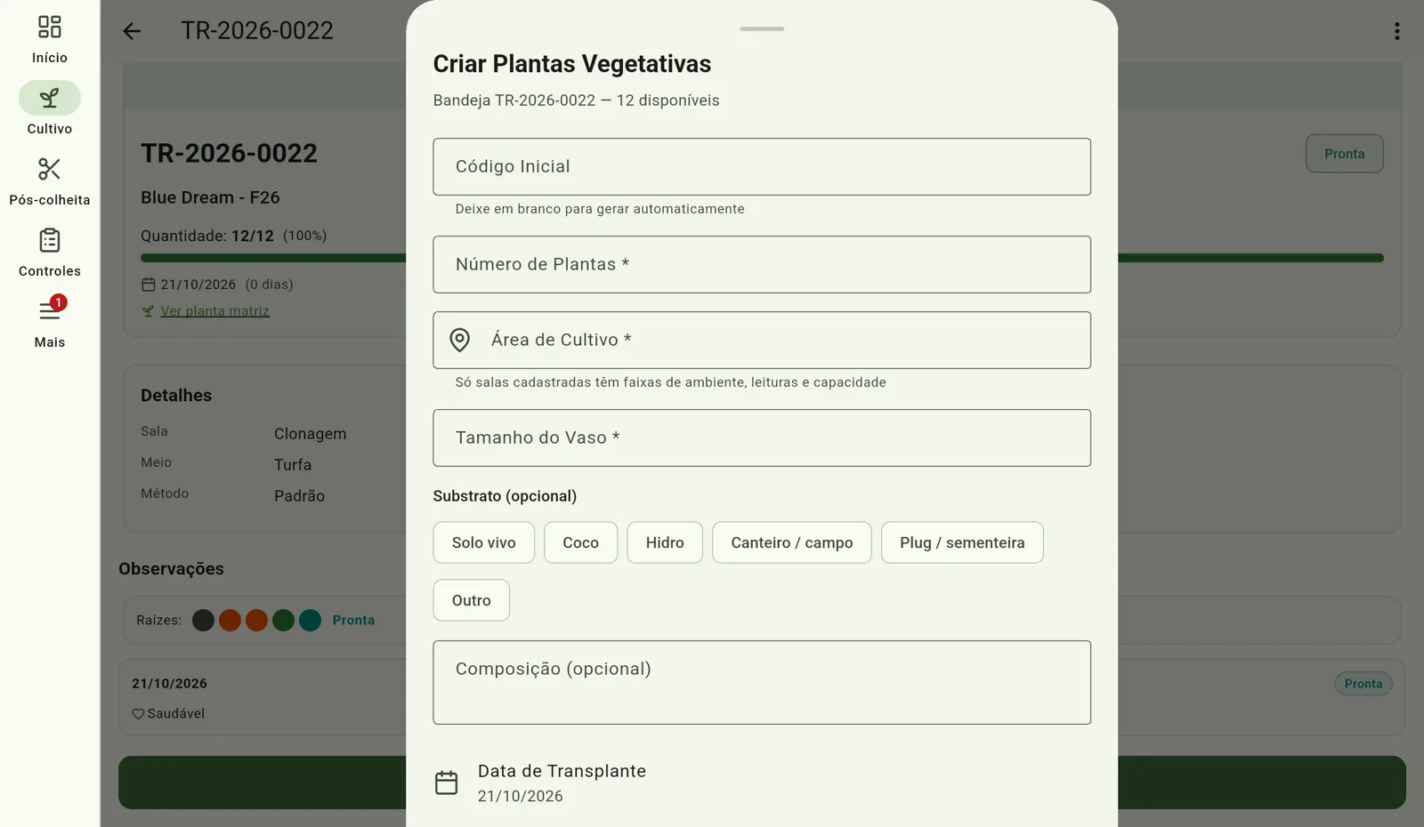 Tela do Cultivo — Transplante para o vegetativo