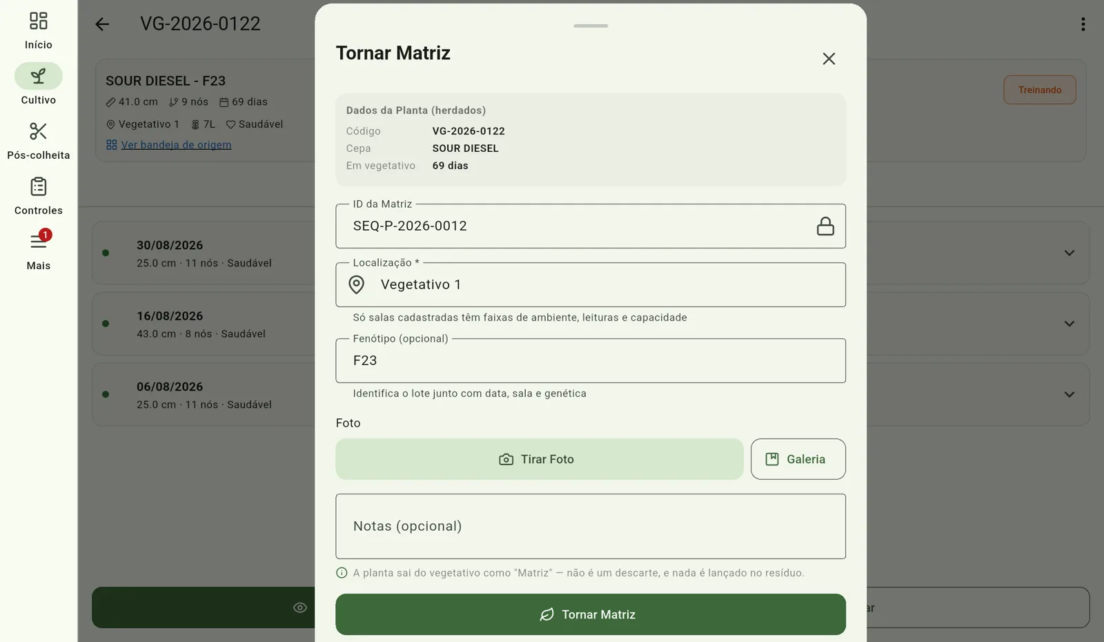 Tela do Cultivo — Torne uma vegetativa matriz