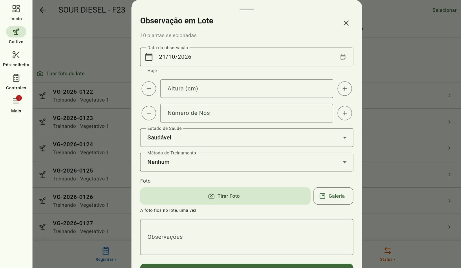 Tela do Cultivo — Anote o que viu