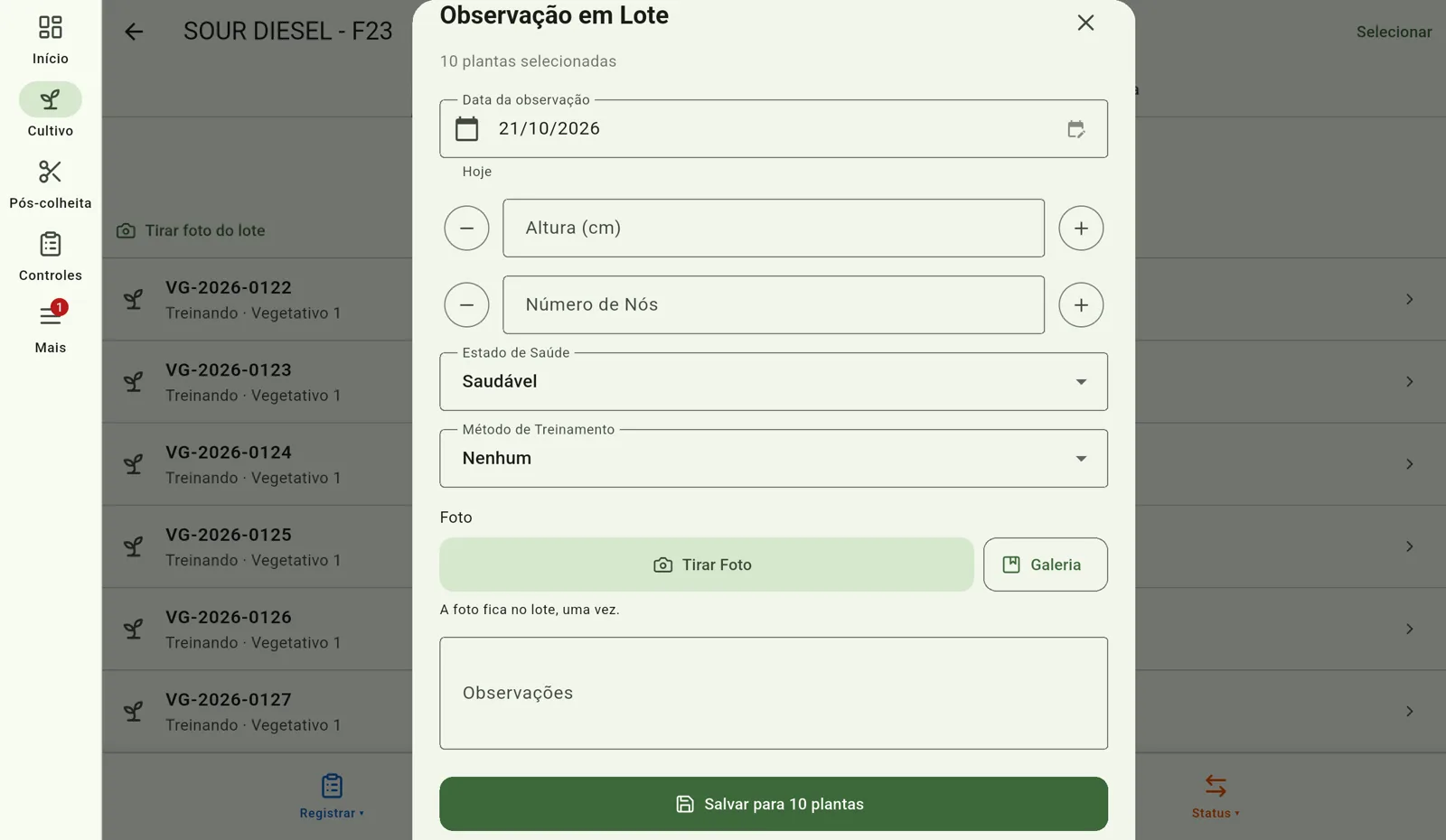 Tela do Cultivo — Anexe a foto
