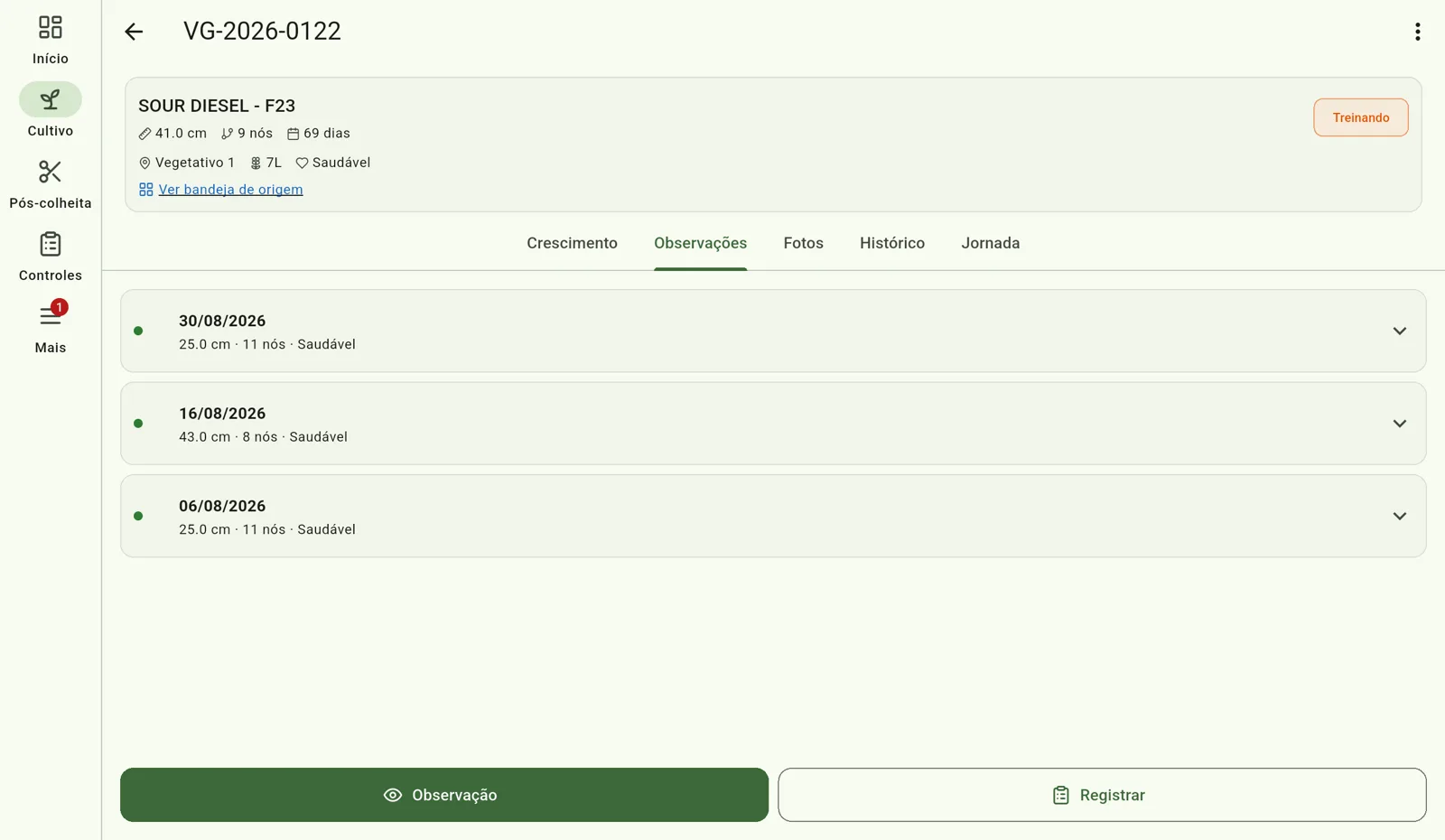 Tela do Cultivo — Veja na ficha