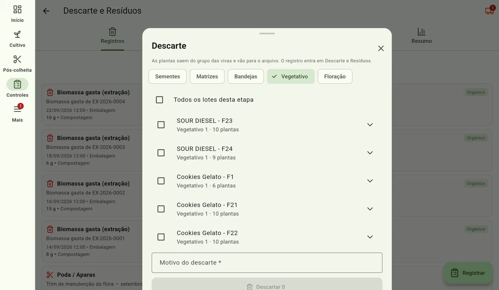 Tela do Cultivo — Escolha a etapa