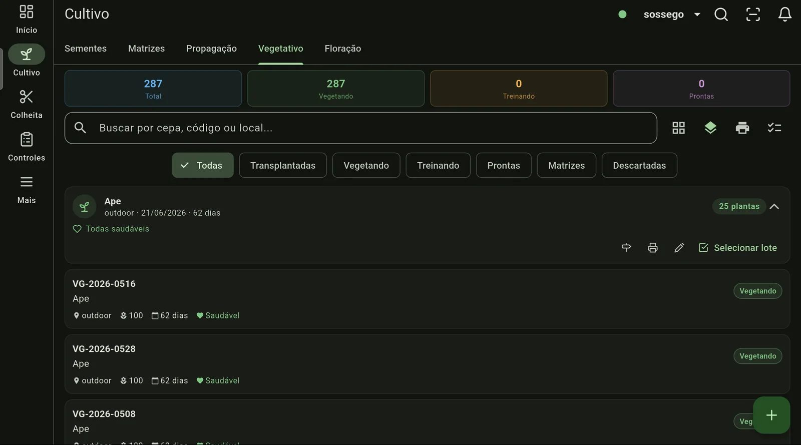 Módulo Cultivo do app: lotes em vegetativo com filtros por status